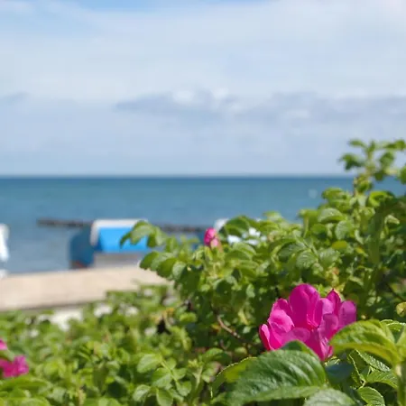 Am 4* Ostseebad Kühlungsborn