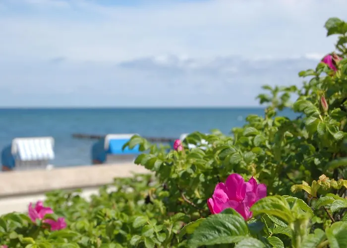 Am 4* Ostseebad Kühlungsborn